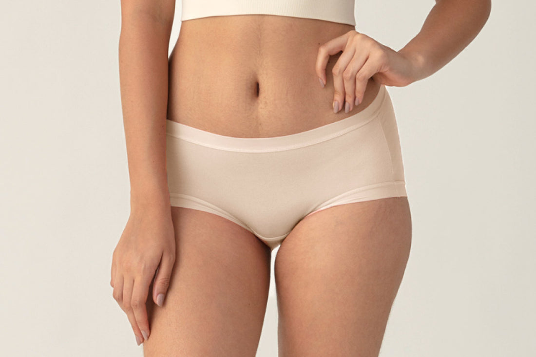 Luxe Boyleg Briefs Underwear