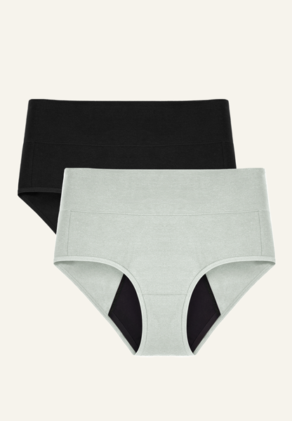 Neione high absorbency briefs for women