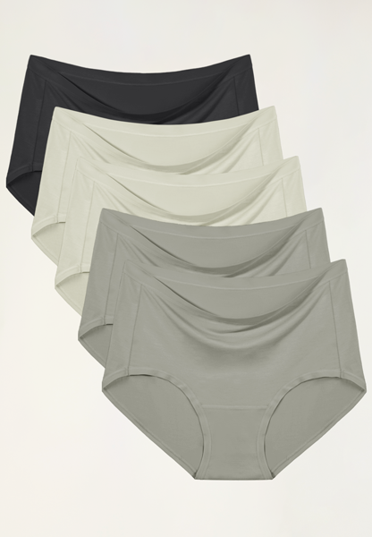 Quick Dry Modal High Waist Underwear